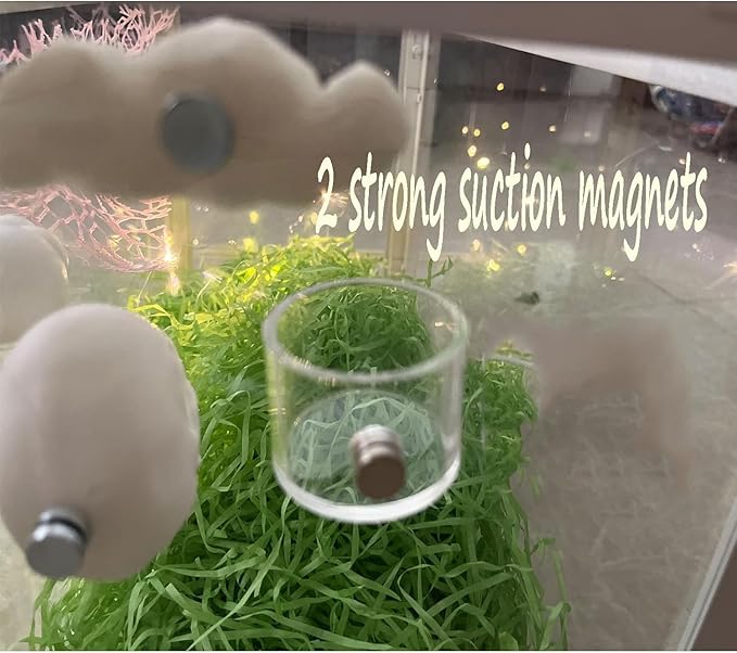 Tall Jumping Spider Feeding Dish, Magnetic Tiny Food Dishes Water Dish for Jumping Spider, Tarantula and Other Small Pets,(1.2in Tall)