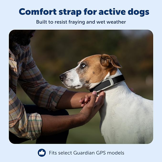 PetSafe Replacement Strap for Guardian GPS + Tracking Dog Fence Collar & Guardian GPS Dog Fence Collar - Soft Touch Material - Waterproof Material - Adjustable - Durable Design - Black