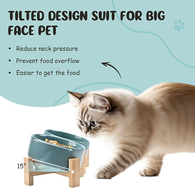 SPUNKYJUNKY 15° Slanted Ceramic Dog and Cat Bowl with Wooden Stand, Tilted Bulldog Food and Water Bowl No Slip Non-Spill for Cats Medium Dogs Big Face Pets 13.5 OZ (1.7 Cups, Light Green × 2)