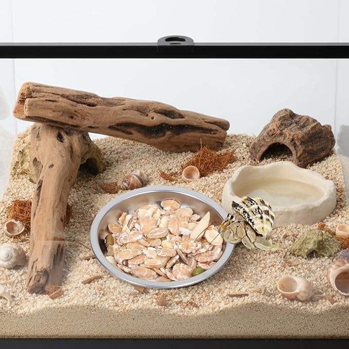 4 Pack Hermit Crab Food and Water Bowl, Small Stainless Steel Reptile Feeding Dish Bowl Mini Feeding Dishes for Hermit Crab Lizard Gecko Bearded Dragon Chameleon (2" W x 2" D x 0.4" H)