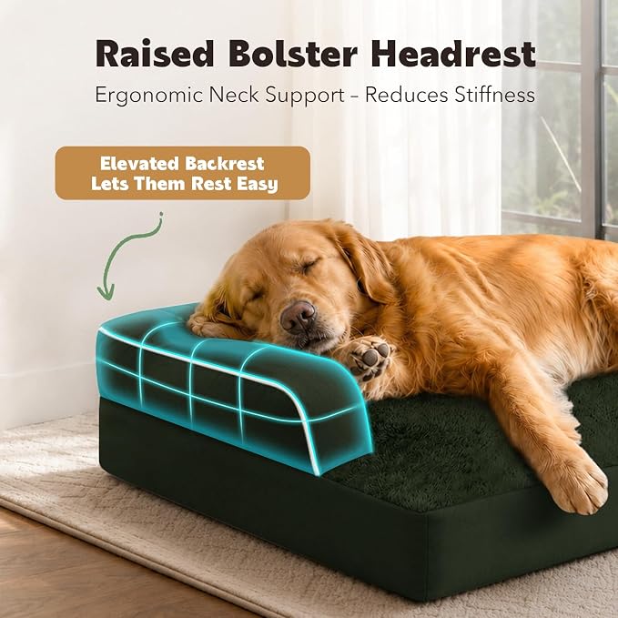 Orthopedic XL Dog Bed with Bolster for Extra Large Size Dogs | Pillow Support for Neck Relief, Egg Crate Foam, Skin-Friendly Surface, Waterproof Liner, Anti-Slip Bottom, 42 x 30 Inch