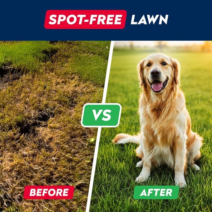 STRELLALAB Dog Pee Grass Chews - Urine Neutralizer for Green Grass Burn Spots - Grass Treatment for Pet Urine - Green Lawn Chews for Dogs with Probiotics - Made in USA (120Ct)