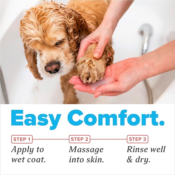 TropiClean OxyMed Medicated Antifungal Dog Shampoo, Yeast Dermatitis Treatment for Dogs, Deep Cleaning & Healing Formula with Miconazole, Zinc & Oatmeal, 20oz