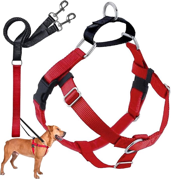 2 Hounds Design Freedom No Pull Dog Harness and Leash, 5/8" MD, Red | Promotes Easy Walking & Comfortable Control, Secure Fit, Adjustable Harness and Leash Set for Medium Sized Dogs, Made in USA