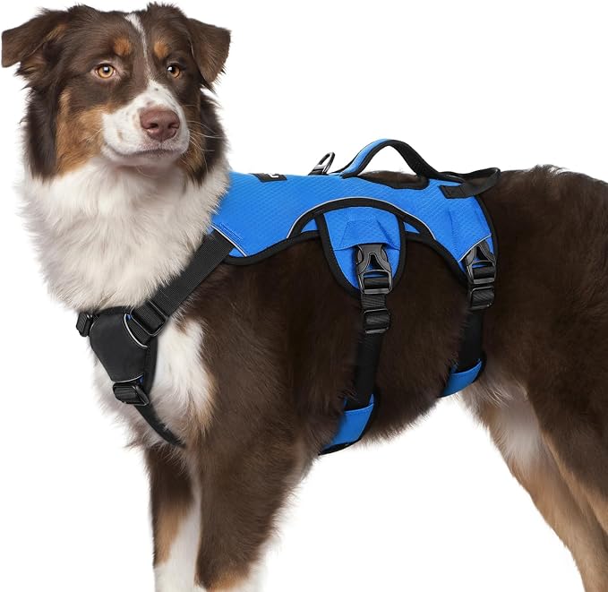 rabbitgoo Escape Proof Dog Harness for Medium, No Pull with Lift Handle | No Escape, Full Soft Padded, Reflective Adjustable Vest, Leash Clip for Walking Hiking Training, Blue, Medium