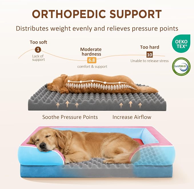 Comfort Expression Orthopedic Dog Bed for Extra Large Dogs with Bolster | Waterproof Dog Couch Bed with Washable Cover & Non-Slip Bottom, Supportive Egg Crate Foam XL Pet Bed, 42x30 Inch