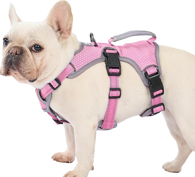 Escape Proof Dog Harness, Dachshund Harness, Reflective Dog Harness with Handle, Durable,Adjustable Vest for Small Medium Large Dogs Walking, Training, and Running Gear (Pink,M)