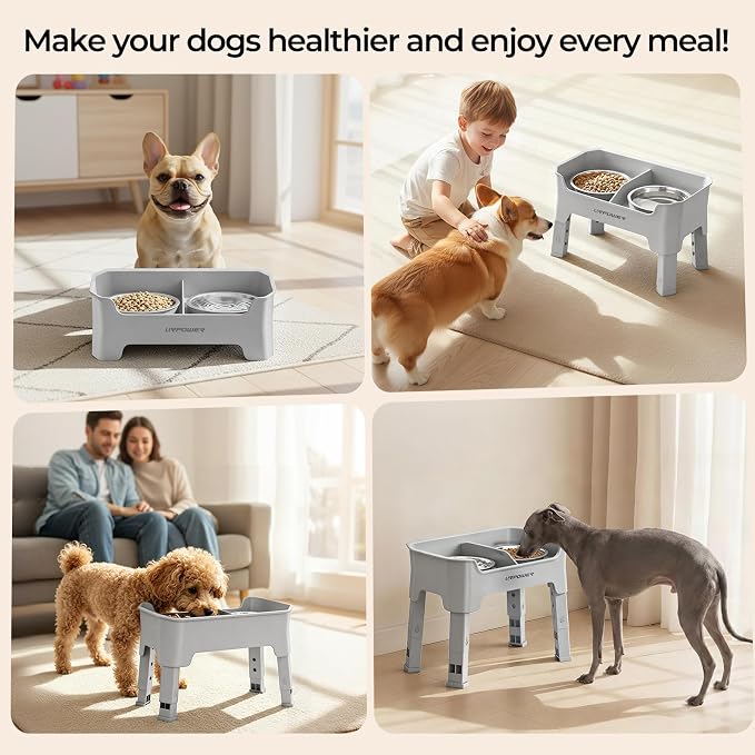 URPOWER Mess Proof Elevated Dog Bowls, Splash Guard Raised Bowl Stand | 4 Adjustable Heights, 2 Stainless Steel Bowls, Food & Water Separation, Non-Slip Base, Foldable Design for Small Dogs