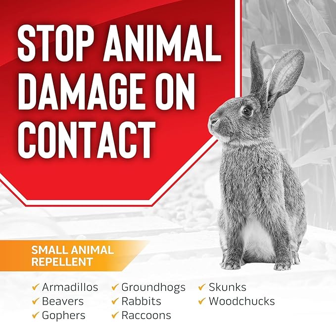 Messina Animal Stopper Granular Repellent - Safe & Effective, All Natural Food Grade Ingredients; Repels Groundhogs, Rabbits, Skunks, Raccoons and Other Garden Animals; Ready to Use, 5 lbs (AS-G-005)