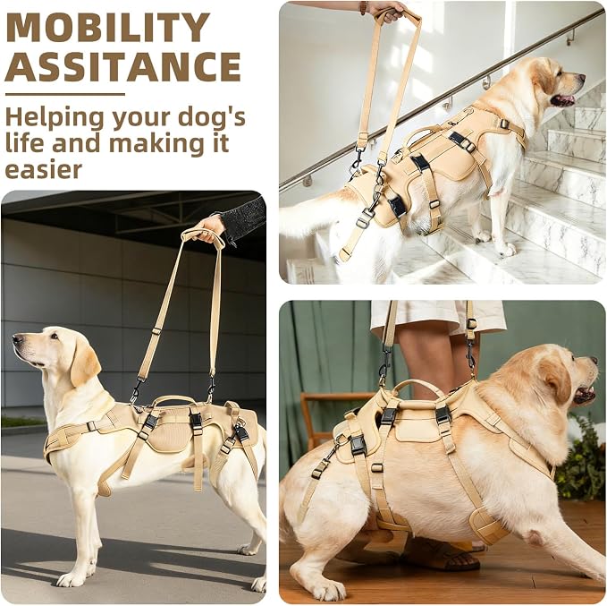 PUPTECK Dog Lift Harness for Medium Large Sized Dog, Rehabilitation Sling for Hind Leg Support, Multifunctional Mobility Assistance Harness for Old, Disabled, Joint Injuries, Paralysis Dogs, Brown L