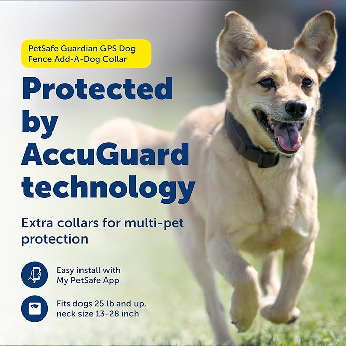 PetSafe Guardian GPS Dog Fence Add-A-Dog Collar - Add-On for Guardian GPS Fence System - AccuGuard Technology - Tone Vibration & 10 Levels of Static Correction - Waterproof Collar - Black