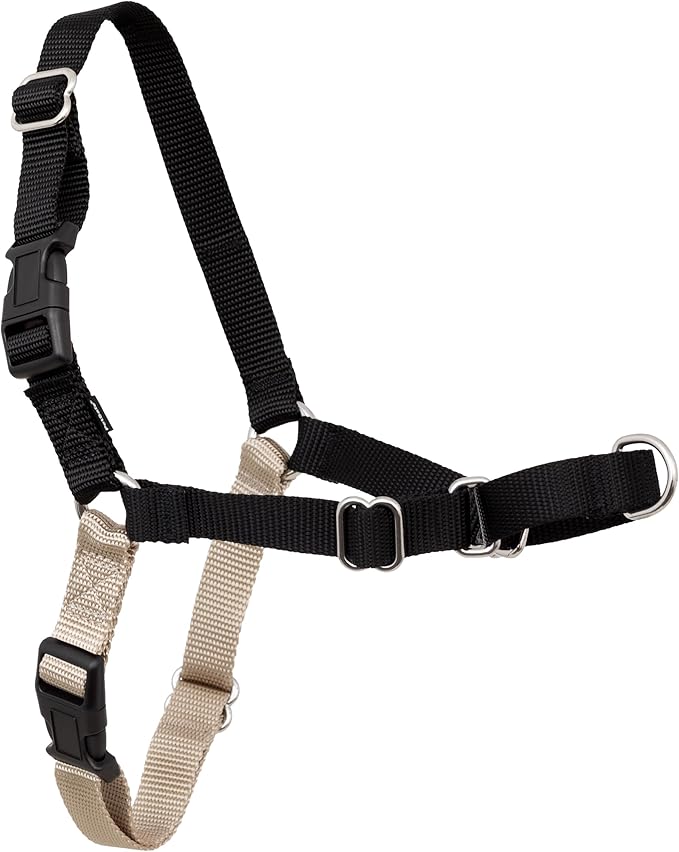 PetSafe Easy Walk Harness, No Pull Dog Harness, Black, Medium | Patented Martingale Loop Gives Gradual Shoulder Pressure to Stop Pulling, Front-Chest Leash Clip Prevents Gagging