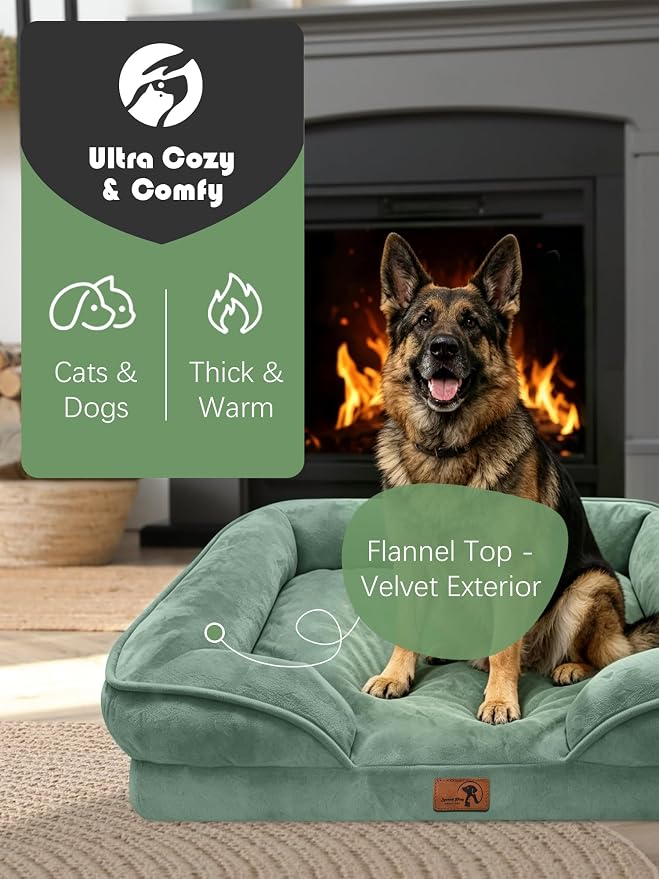 Spotted Play Orthopedic Dog Bed with Sides - Sofa Beds for Extra Large Dogs, Supportive Foam Pet Couch Bed with Washable Removable Cover, Waterproof Lining and Non-Slip Bottom, Green - XL