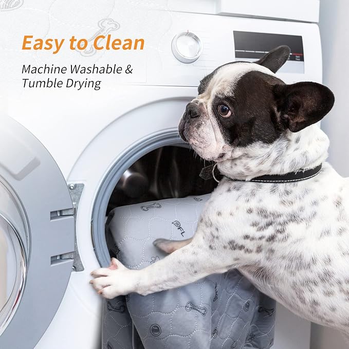 Washable Pee Pads for Small Pet, 2 Pack Reusable Pet Training Pads, 36x71 | Non-Slip, Absorbent Whelping Mats with Bone Print for Rabbit, Guinea Pig, Hamster, Puppy, Senior Dog Incontinence