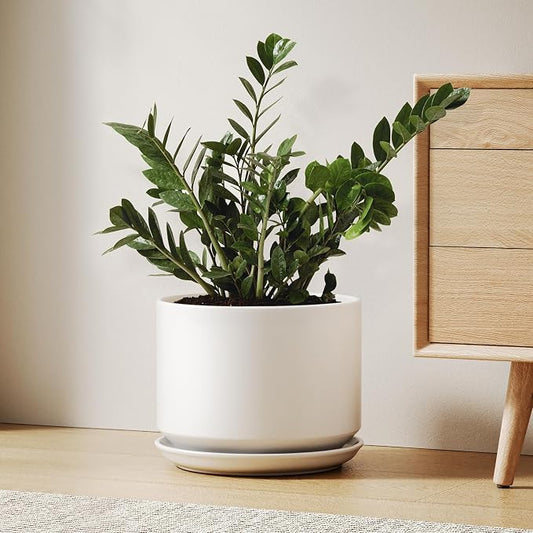 LE TAUCI Ceramic Pots for Plants, 10 Inch Plant Pot with Drainage Hole & Saucer, Sturdy & Modern Planters for Indoor Plants, Includes Mesh Screen, Fits Snake Plant & Monstera, White