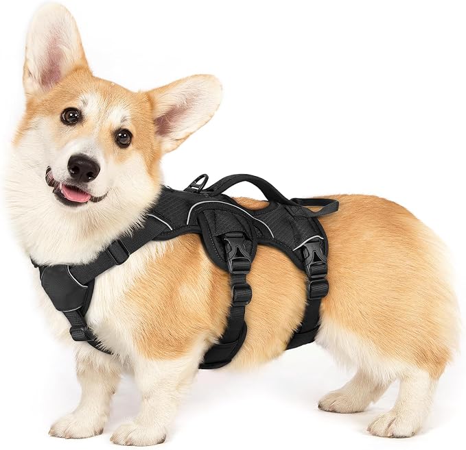 rabbitgoo Escape Proof Dog Harness for Small, No Pull with Lift Handle | No Escape, Full Soft Padded, Reflective Adjustable Vest, Leash Clip for Walking Hiking Training, Black, Small