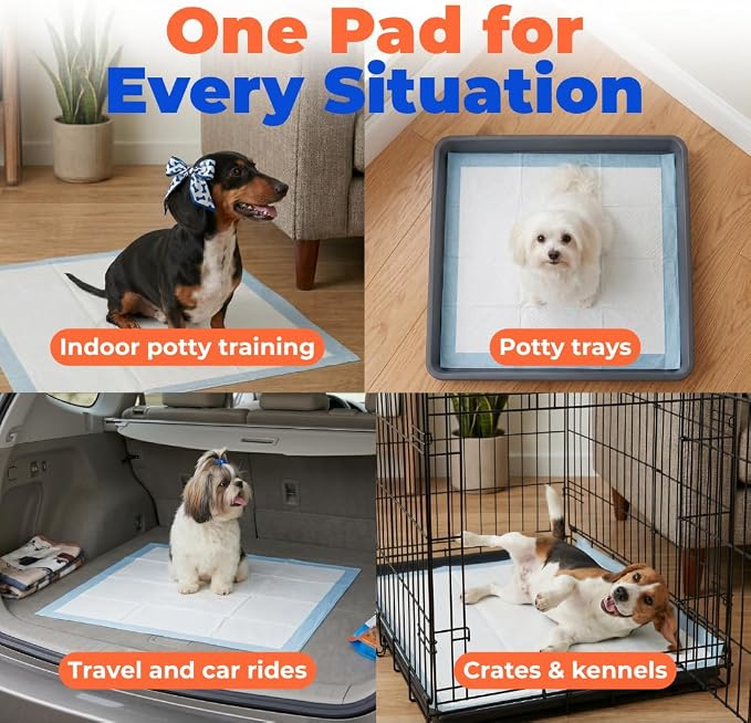 Best Pet Supplies Puppy Pads (22.5 x 22 Inches) - Disposable, Dog Training Potty, Super Absorbent Baby Blue Puppy Pee Pads for Dogs (100 Count)