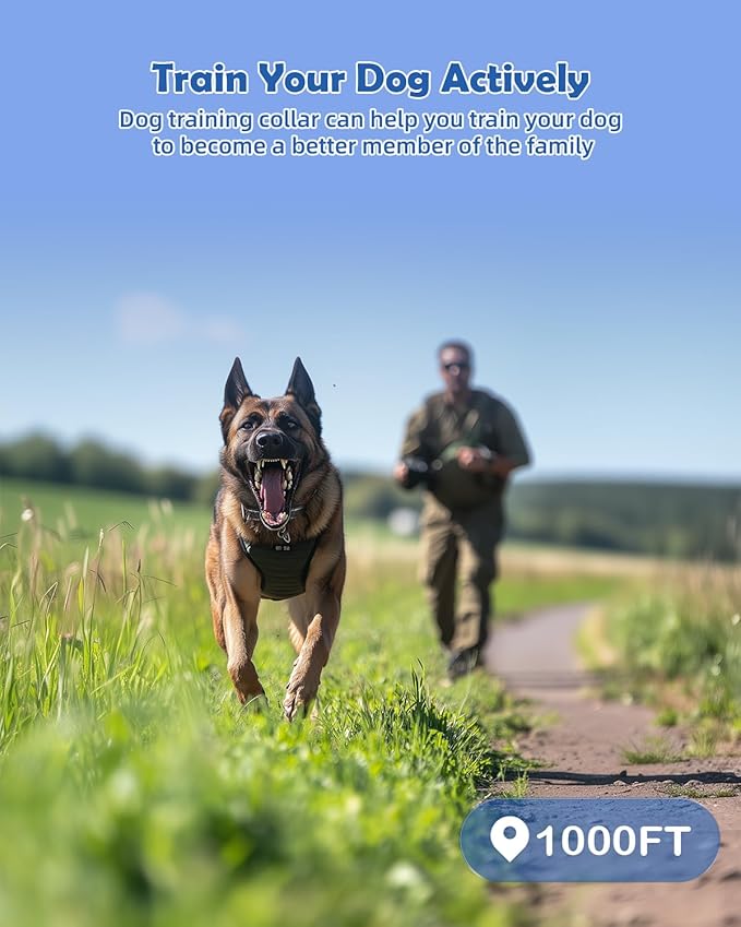 PATPET Shock Collar for Large Dog - Rechargeable Dog Training Collar with Remote for Medium Large Dogs 1000Ft Remote Range 3 Training Modes IPX7 Waterproof Blue,For 1 dog