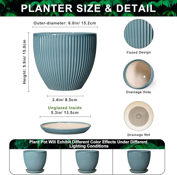 6 Inch Plant Pot Indoor, Ceramic Pots for Snake Succulent Plants, Decorative Round Flower Pots with Drainage Hole and Saucer, Modern Planter, Bookshelf Decor, Gifts for Men Women, Glaze Blue