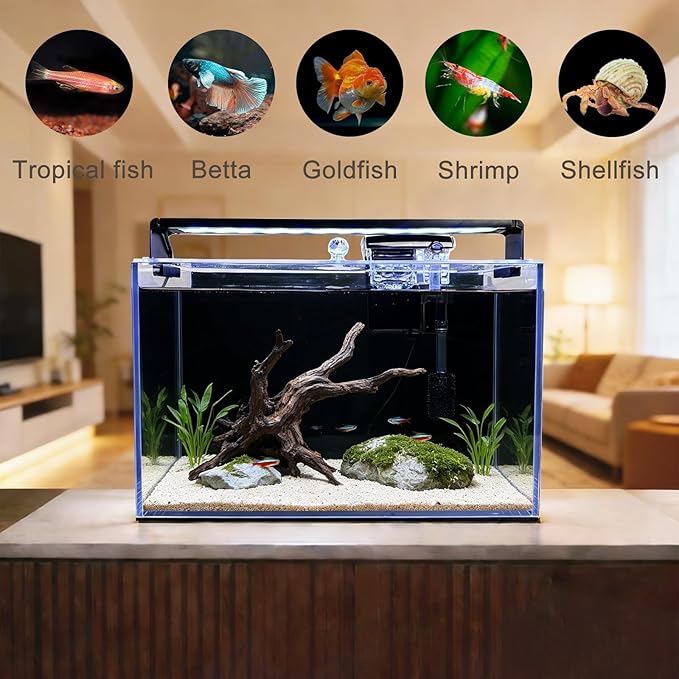 3.2 Gallon Fish Tank,Nano Nature Aquarium Kit,Small Starter Kit,Ultra-Clear Rimless Desktop Small Aquarium with Filter,Light,Rainforest Sand,Rock for Betta,Shrimp,Goldfish. Black Glass