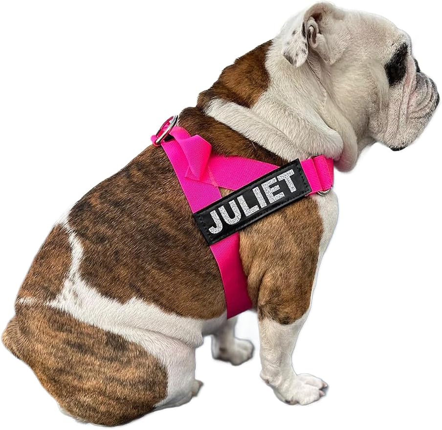 Adjustable Dog Harness– No Pull, No Choke – for English Bulldogs, French Bulldogs, Pugs & Broad-Chested Breeds – Easy, Safe Walks (NEON Pink, XL)