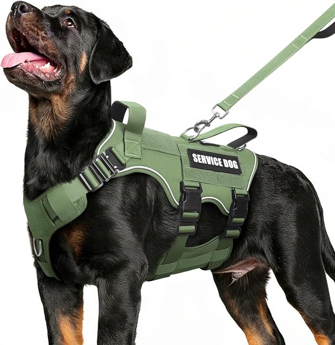 Service Dog in Training Vest and Leash Set with 10 Patches,Heavy Duty Tactical Dog Harness with Metal Buckles for Large Dogs,No Pull Easy Walking for Training Working Hiking,Green L