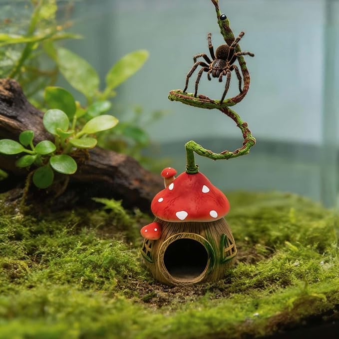 Jumping Spider Hide with Bendable Vine – Mushroom Cave for Tarantula, Gecko & Tree Frog – Reptile Terrarium Decor for Spider Enclosure & Reptile Tank (4"x4"x12")