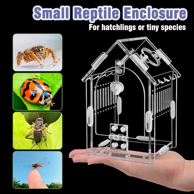 Jumping Spider Enclosure Kit Acrylic Terrarium for Tarantulas, Reptiles & Praying Mantis | Magnetic Feeding Port & Secure Latch | Arboreal Enclosure with Ventilation & Front Door