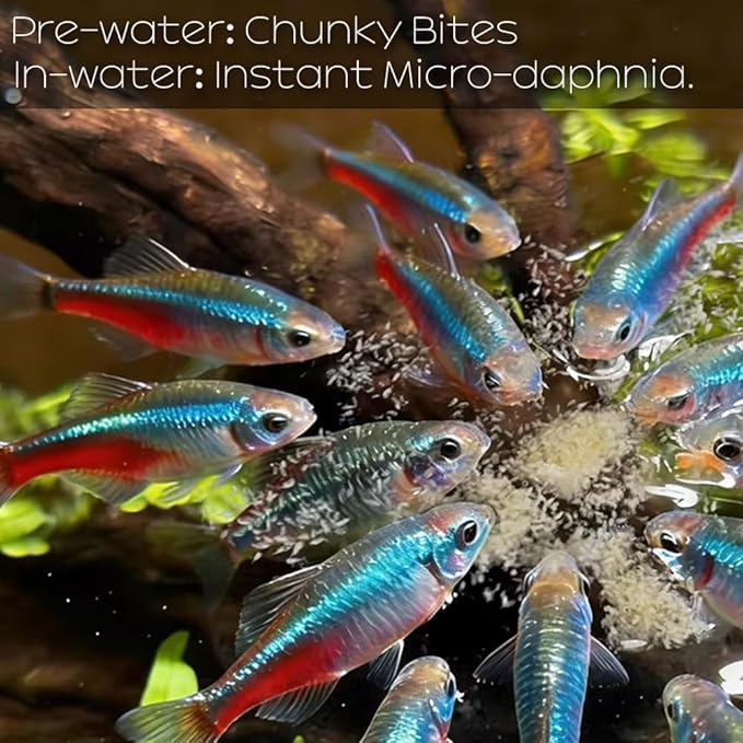 Daphnia All Natural Tropical Fish Food for Small to Medium Sized Saltwater & Freshwater Fish - Betta Guppy Discus Cichlids Discus Goldfish Angel Fish