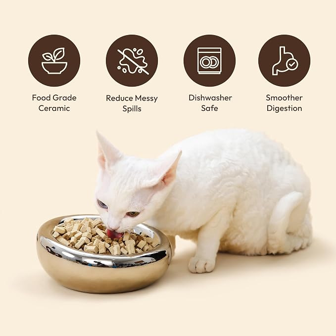 Pebble Pet Bowl Deep Pearl, Ergonomic Dog Cat Feeding Bowl, Flat-Faced Breed, Tilted Ceramic Pet Food Dish, Scooper Eater, Anti-Spill Design, Dishwasher Safe, Modern Pet Bowl, Dry & Wet Diet