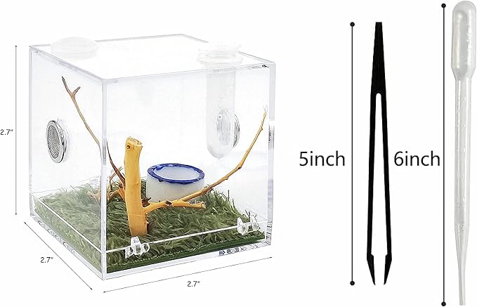 AWXZOM Spider Terrarium, Acrylic Reptile Breeding Box Jumping Spider Enclosure with Dropper Tongs Snail cage, Cricket Enclosure arboreal Tarantula Habitat