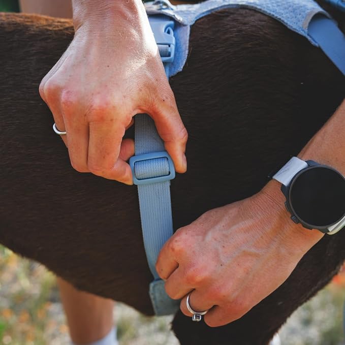 Ruffwear, Front Range Flex Dog Harness, Engineered Knit Construction for Ultimate Fit and Mobility, Lightweight Flexible Everyday Harness with Dual Leash Clips, Deep Teal, Large/X-Large