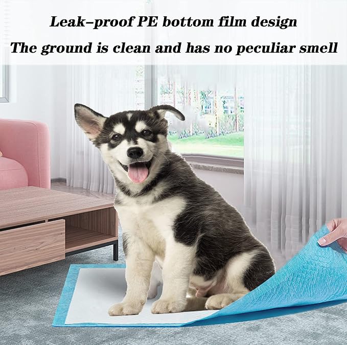 Dog Pee Pads Extra Large,32"X36"Pee Pads for Dogs,60 Count Puppy Pads,Training Pads for Dogs Absorbent & Leak-Proof for Family Training Disposable Pet Potty Pads