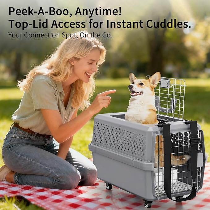 RIZZARI Large Pet Carrier with Wheels, Hard-Sided Rolling Dog and Cat Carrier Up to 25 Lbs, Top Access Travel Crate with Pull Strap, Metal Wire Door, Elevated Floor, Feeding Bowl and Ventilated Design