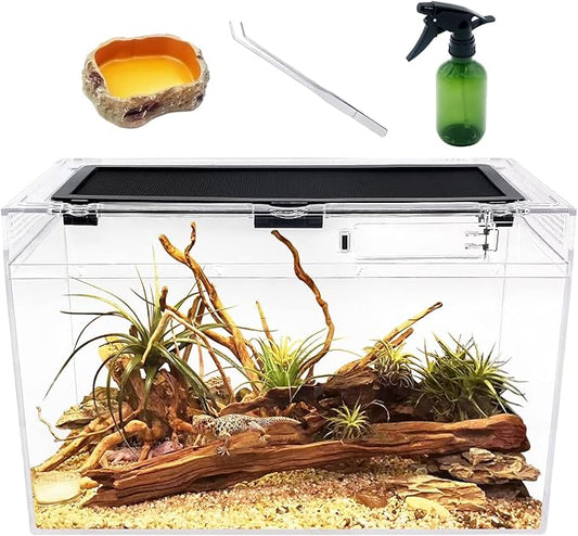 Reptile Terrarium,16" x 8"x 10" Reptile Tank with Full View Visually Appealing，for Insect，Fish，Tarantula，Hermit Crab，Jumping Spider，Iguana，Tortoise，Leopard Gecko，Frog，Bearded Dragon
