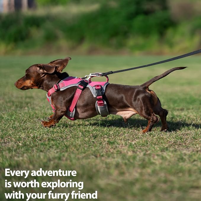 Escape Proof Dog Harness, Dachshund Harness, Reflective Dog Harness with Handle, Durable,Adjustable Vest for Small Medium Large Dogs Walking, Training, and Running Gear (Rose red,XL)