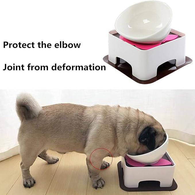 Bulldog Bowl Anti-Slip Dog Cat Dish Detachable Rubber Dog Bowl Pet Sterile Tilted Pet Feeder Slope Base