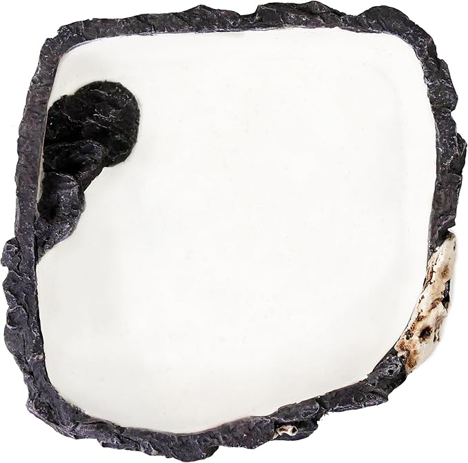 PENN-PLAX Reptology Reptile Fossil Rock Food/Water Dish – Perfect for Bearded Dragons, Geckos, Chameleons, Snakes, Hermit Crabs, and Many More – Large