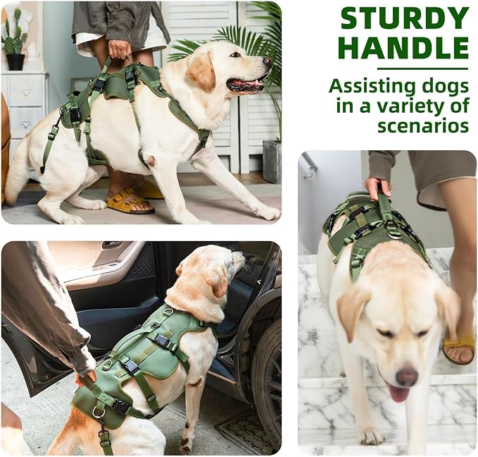 PUPTECK Dog Lift Harness for Medium Large Sized Dog, Rehabilitation Sling for Hind Leg Support, Multifunctional Mobility Assistance Harness for Old, Disabled, Joint Injuries, Paralysis Dog, Green XL