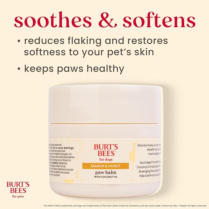 BURT'S BEES FOR PETS Paw Balm for Dogs with Manuka Honey and Coconut Oil, Soothes Dry Dog Paws, Naturally Derived Ingredients, 1.76 Oz