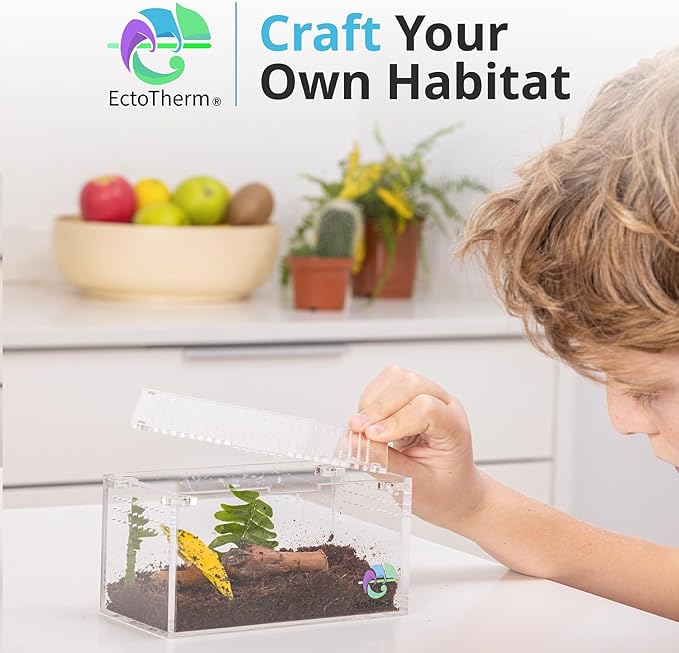 EctoTherm Acrylic Tarantula Enclosure - Versatile Terrarium for Terrestrial Tarantula, Scorpion, Isopod, Jumping Spider, Millipede, Snail, Small Reptile & Insect Habitat Kit