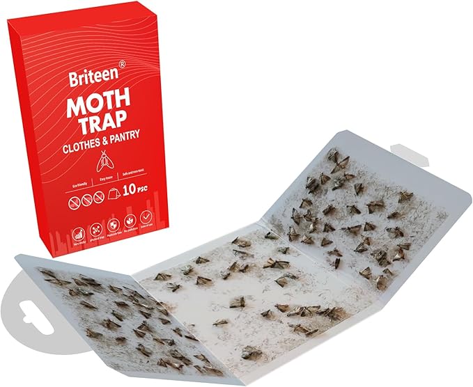 Pantry Moth Traps 10-Pack Safe and Effective for Food and Clothing- Glue Traps with Pheromones for Wool Closet Carpet Food and Cupboard K10