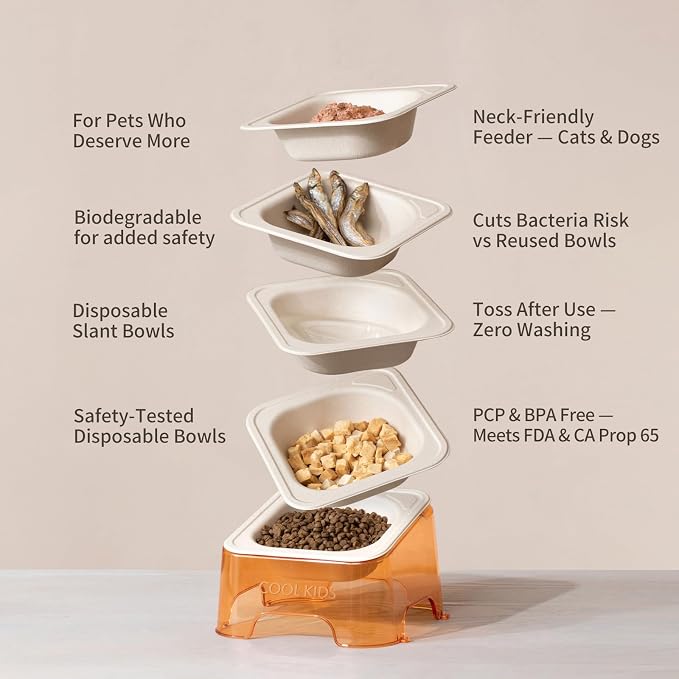 Cool Kids Elevated Cat Bowls – Raised Slanted Eco Fiber Disposable Set | Food-Grade Degradable Fiber, Cat Bowls for Small Dogs, Disposable No-Clean, Fits Camping & Travel, Multi-Pet & Stray Feeding