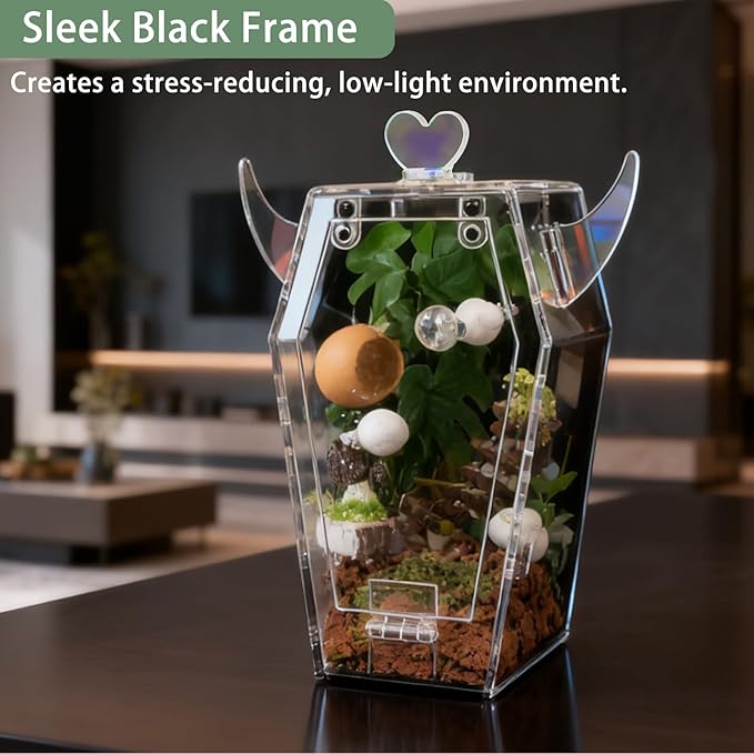 Acrylic Jumping Spider Enclosure，3mm Clear Coffin Terrarium with Magnetic Door & Feeding Hole, Secure Habitat for Jumping Spiders, Mantis, Small Tarantulas
