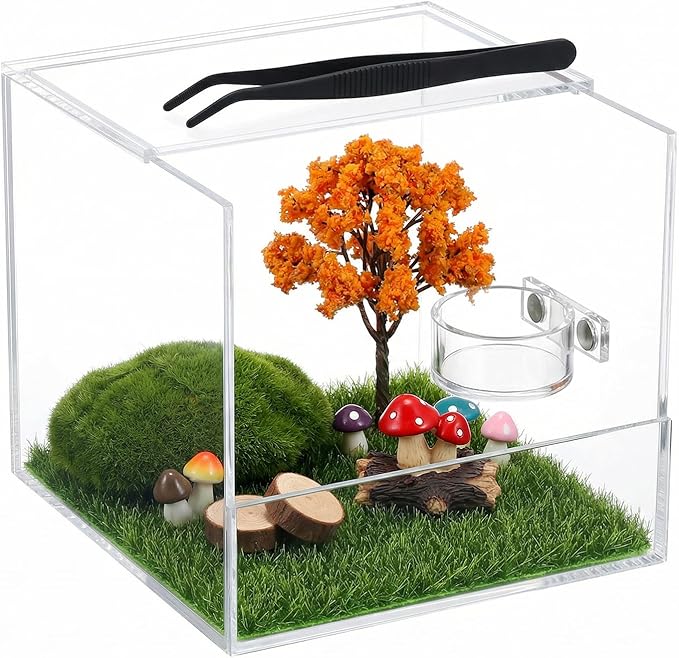 Jumping Spider Feeding Dish with Tweezers, Tiny Magnetic Water Bowl Spider Enclosure Accessories 1 PCS 4x2cm