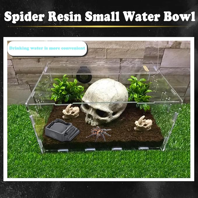 6 Pack Tarantula Water Bowl Hermit Crab Resin Dish for Reptile Tarantula Spider Millipede Insect (Large: 0.94" D, 0.47" H)