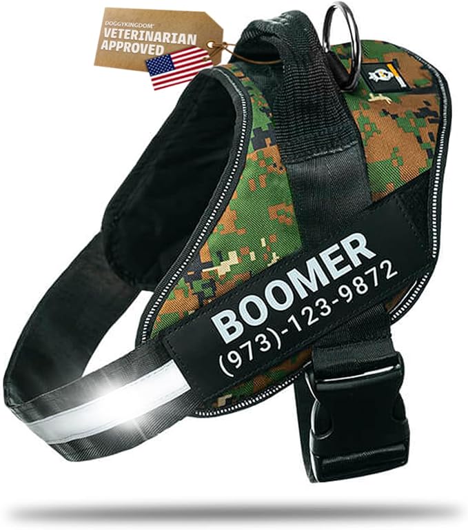 Personalized Dog Harness with Custom Name Patches, Adjustable Reflective No Choke Dog Vest with Handle for Small Dogs and Growing Puppy, Military Green, XS