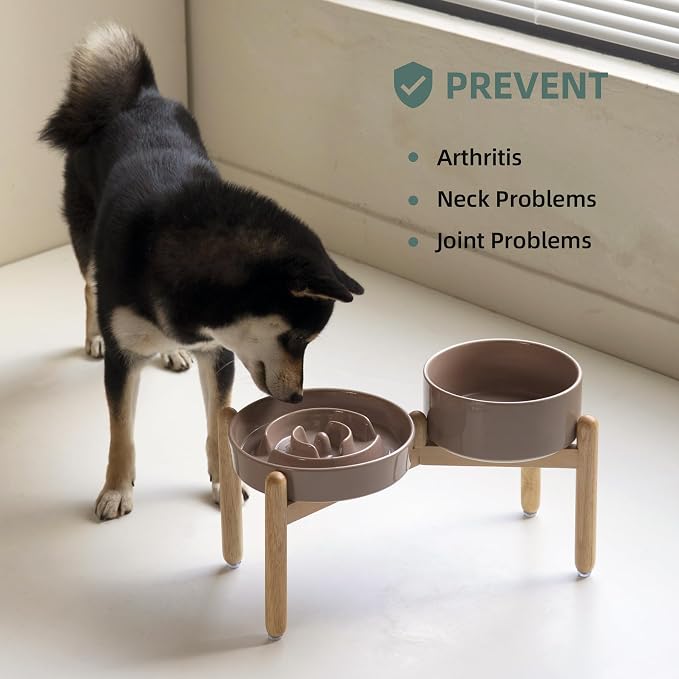 Havniva Elevated Slow Feeder Dog Bowls, Ceramic Dog Bowl Slow Feeder Set | 1.6 Cups Raised Slow Feeder Dog Bowl for Medium Breed, 7.3” Dog Water Bowl with Wooden Stand, Puzzle Dog Food Bowl, Non-slip