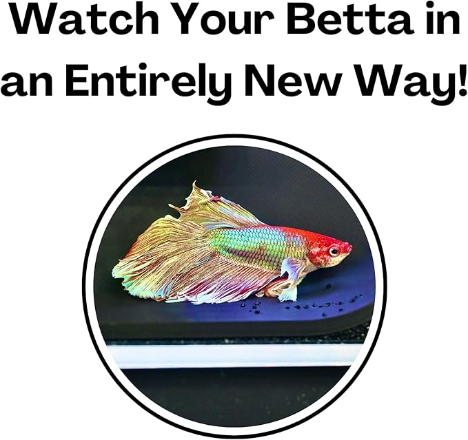 Betta Underground Tunnel Hideout Cave | Aquarium Hide For Small Fish and Shrimp | Viewing Betta Fish Rest Hammock Enrichment Toy | Betta Fish Tank Accessories Supplies Decorations Ornaments Toys Decor