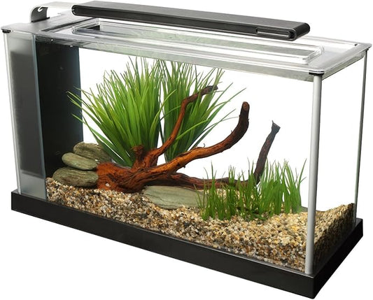 Fluval SPEC Aquarium Kit, Aquarium with LED Lighting and 3-Stage Filtration System, 5-Gallon
